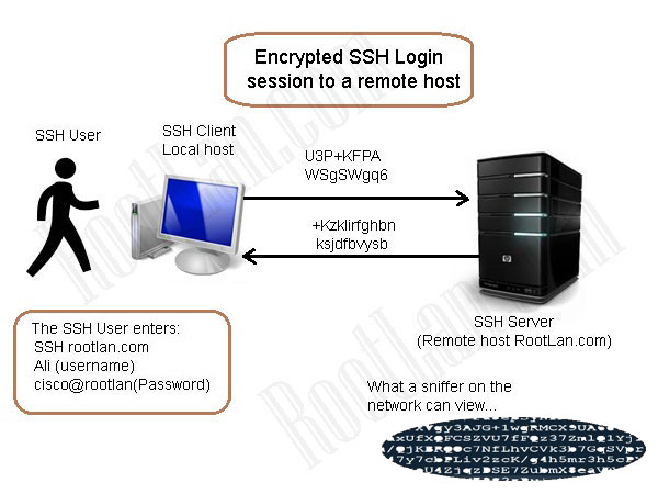 SSH---Session ، راه اندازی SSH